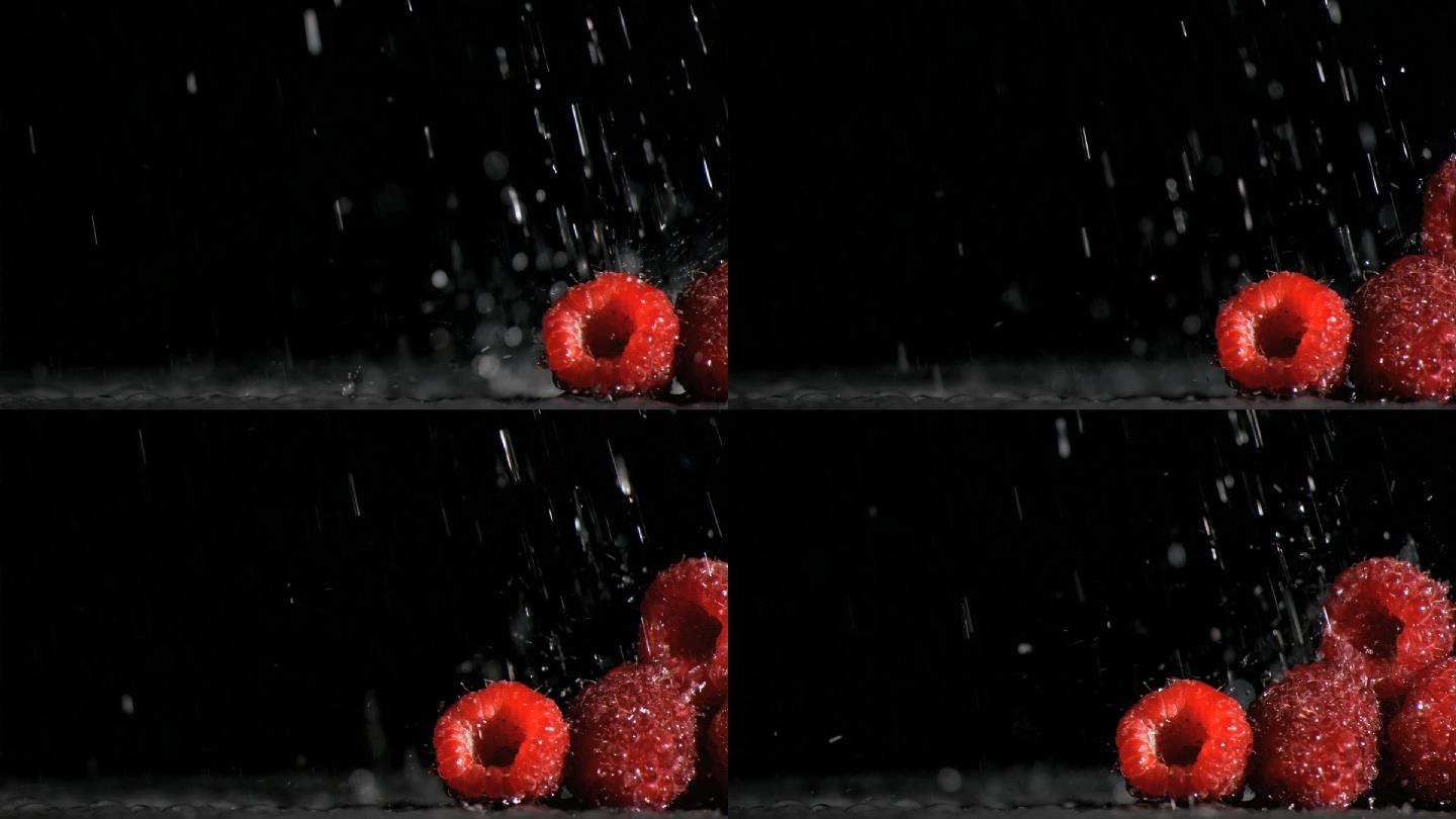 被水打湿的树莓特写