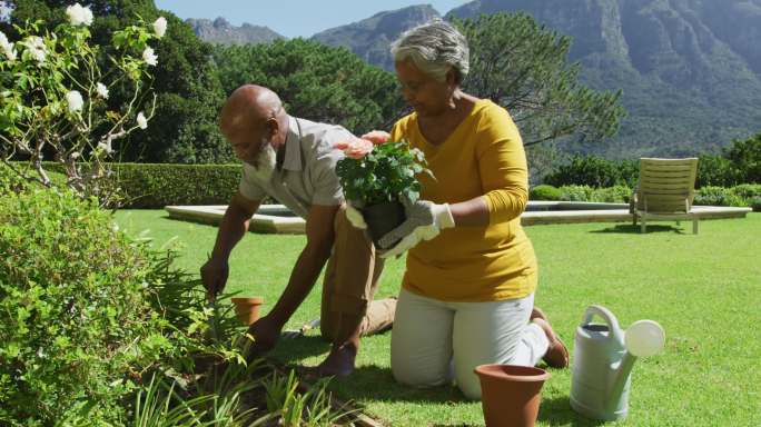 在一个阳光明媚的日子里，一对非洲裔美国老人在花园里一起种花