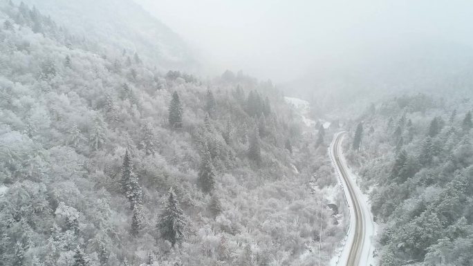 秦岭 雪景 冬天 航拍 大自然