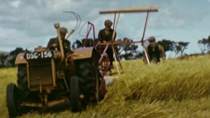 50年代苏格兰高地农业农村风光