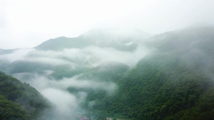 秦岭  云海  生态 大自然 航拍