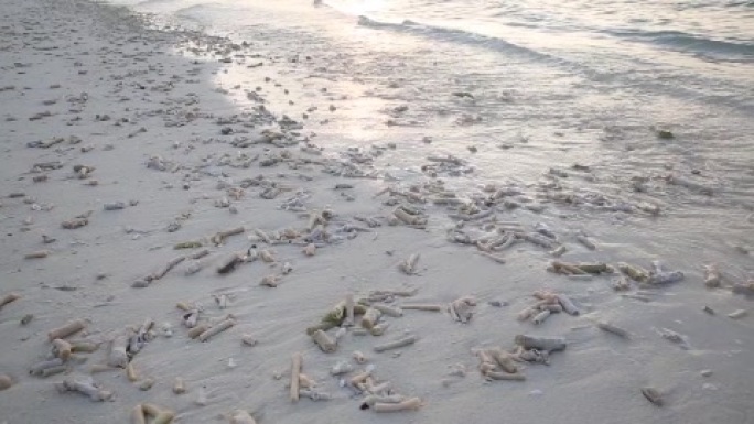 马尔代夫海景海岸线细浪海水层层海浪