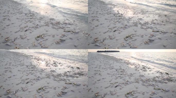 马尔代夫海景海岸线细浪海水层层海浪