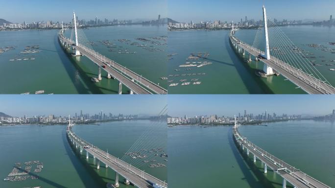 南山深圳湾大桥航拍4k