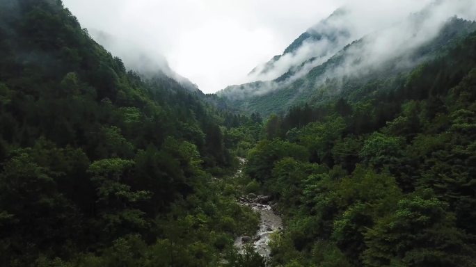 秦岭云海 小河  航拍 生态 大自然