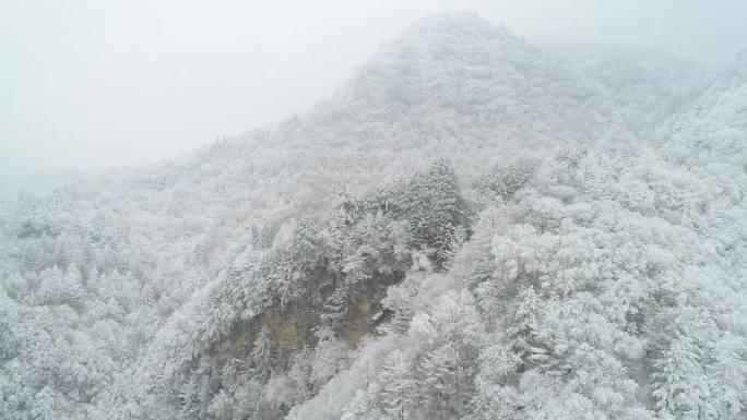 秦岭雪景  雪 冬天 航拍