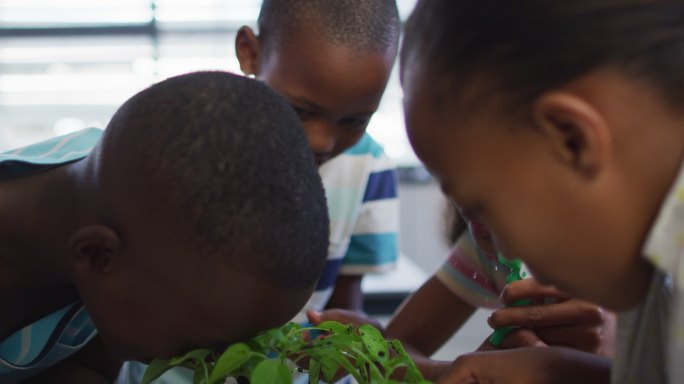 在自然研究课上，一群快乐的学童在教室里照看植物