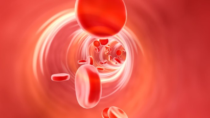 血管 红细胞 血液 血小板
