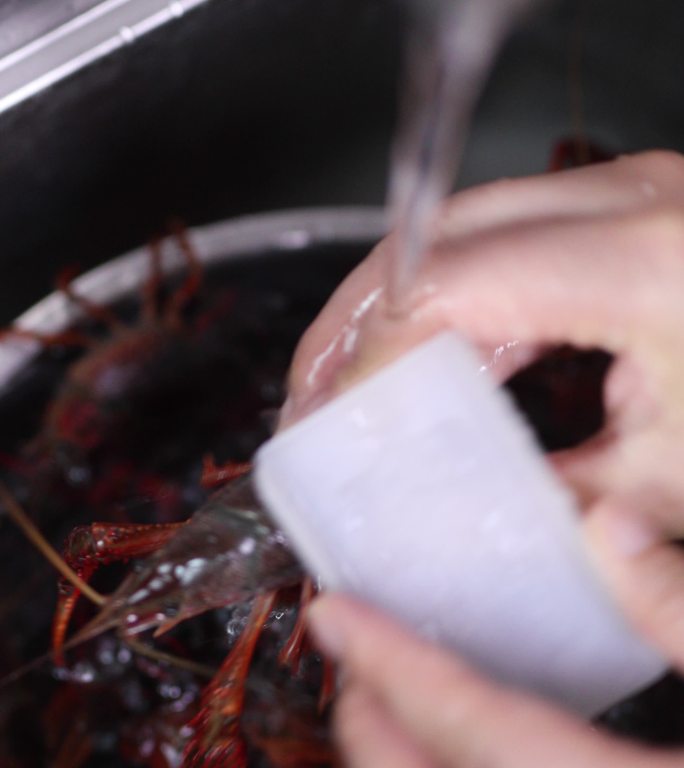 鲜活的小龙虾特写油焖大虾鄂菜鲁菜