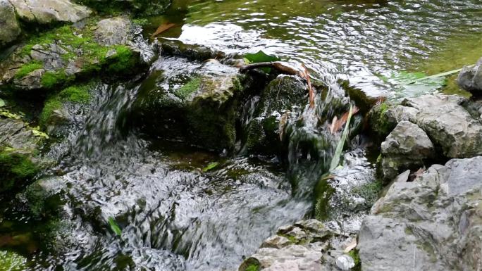 安静假山溪水小溪水流