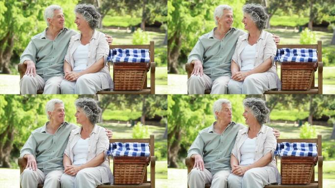 一对老夫妇拿着野餐篮坐在长椅上特写