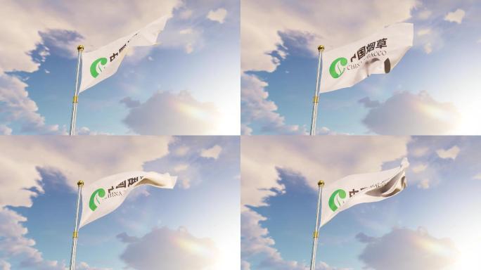 中国烟草公司旗帜飘扬视频素材