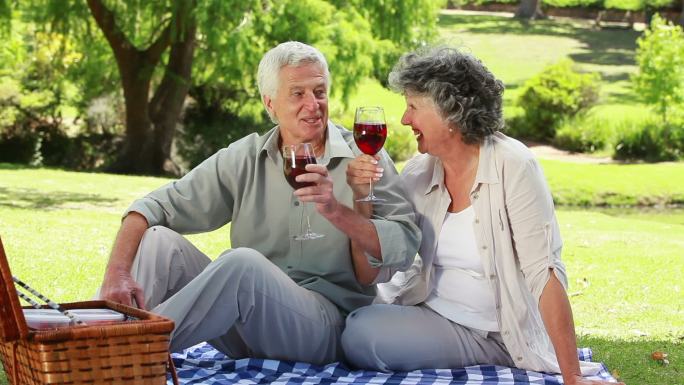 一对成熟的夫妇在公园里碰杯喝红酒