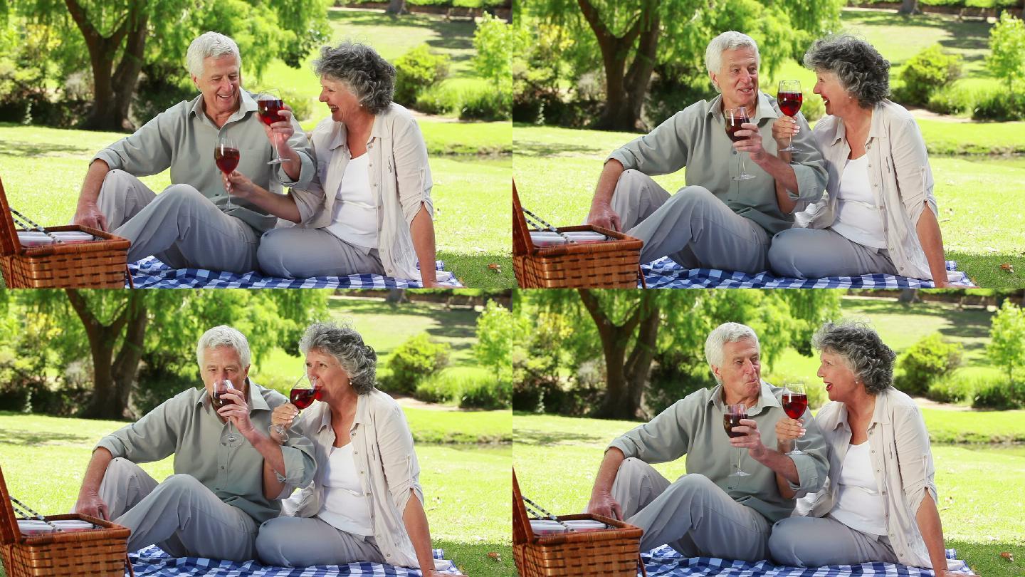 一对成熟的夫妇在公园里碰杯喝红酒