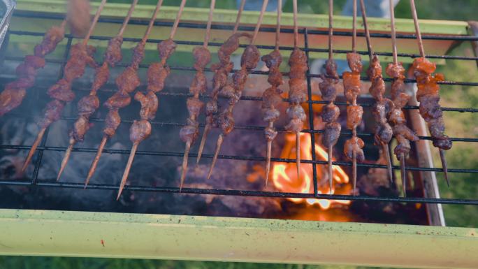 烤羊肉串野炊野餐宵夜夜宵聚餐聚会烤肉