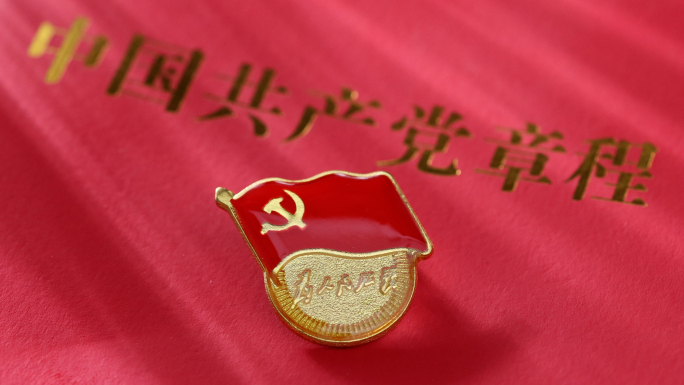 党建党徽100周年
