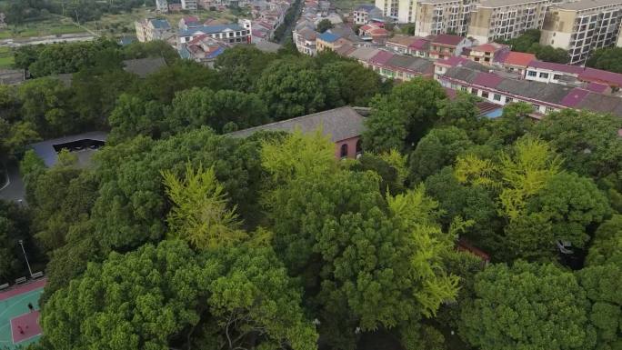 茶陵县县委大院