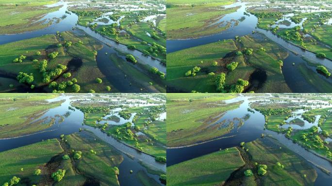航拍内蒙古亚洲第一湿地根河湿地风光