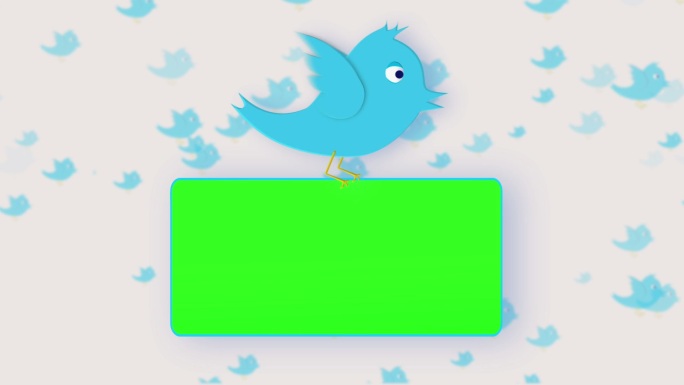 动画的彩色键屏幕持有一只鸟
