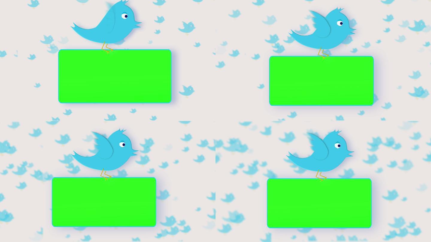 动画的彩色键屏幕持有一只鸟