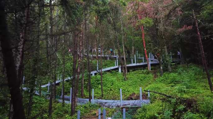 秦岭 康养 步道  人文生活 航拍