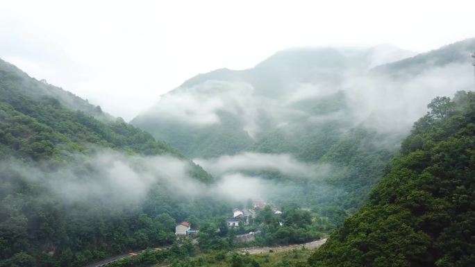 秦岭 云海  航拍 生态 大自然