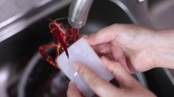 鲜活的小龙虾特写制作美食水溅清洗挑选食材
