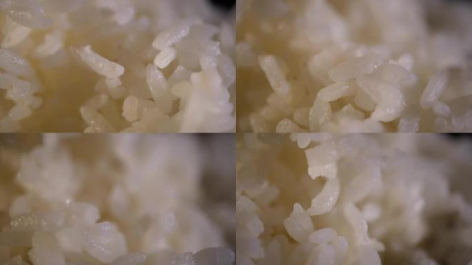 主食水稻大米饭 (2)