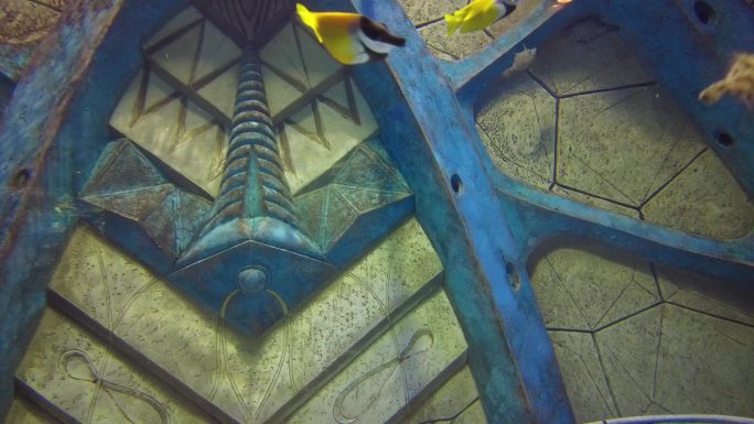 三亚 海底世界 亚特兰蒂斯 海鱼 深海