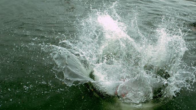 一个潜水员跳入水中倒放特效