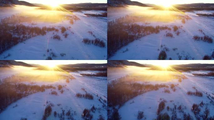 航拍大兴安岭极寒时节雪域树丛暖阳