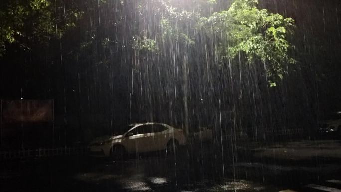 夜雨绿树光影雨夜街灯逆光影子雨滴雨丝雨夜