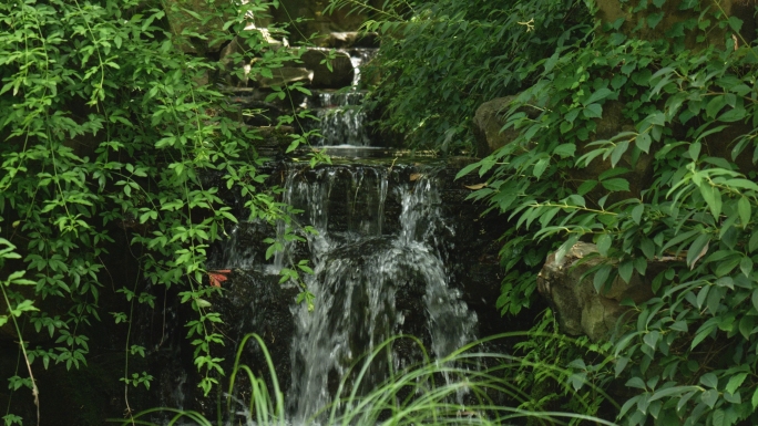 山泉水高山流水溪流