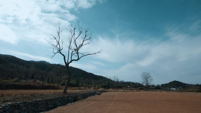 中国西部西藏风光延时视频高山牧场云雾变化