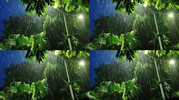 夜雨绿树光影雨夜街灯逆光影子雨滴雨丝大雨
