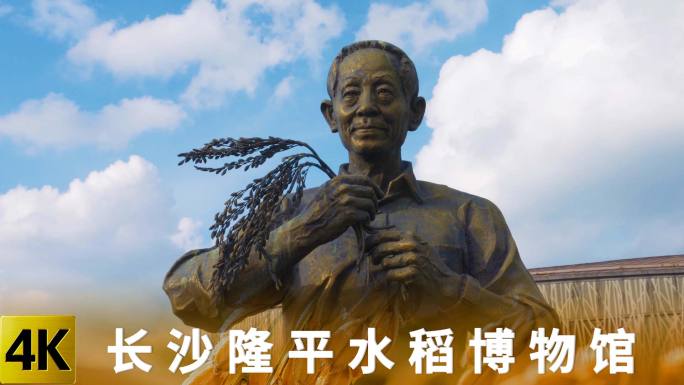 4K-长沙隆平水稻博物馆