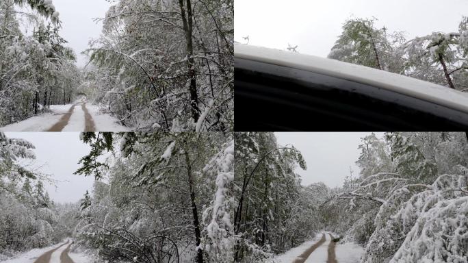 大兴安岭春季极端天气降雪森林雪路