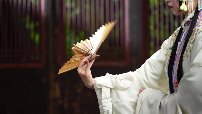 京剧演员青衣表演中国文化中华文化中国戏曲