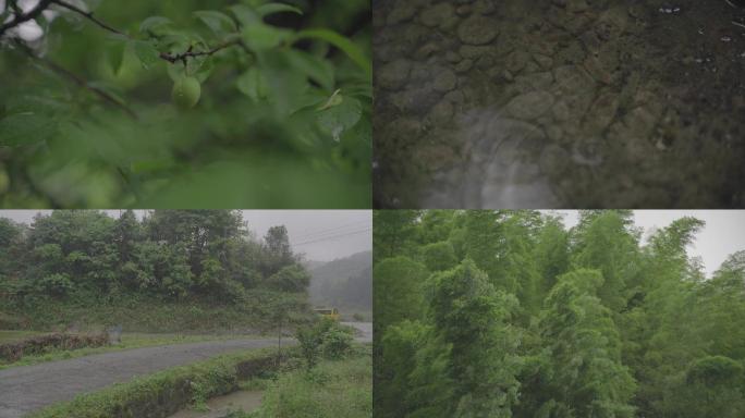 农村刮风下雨素材1080p