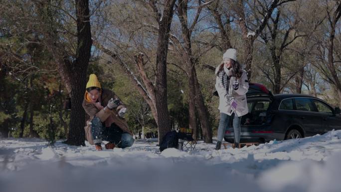 幸福情侣在雪地里玩耍