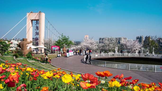 成都漫花庄园风景延时