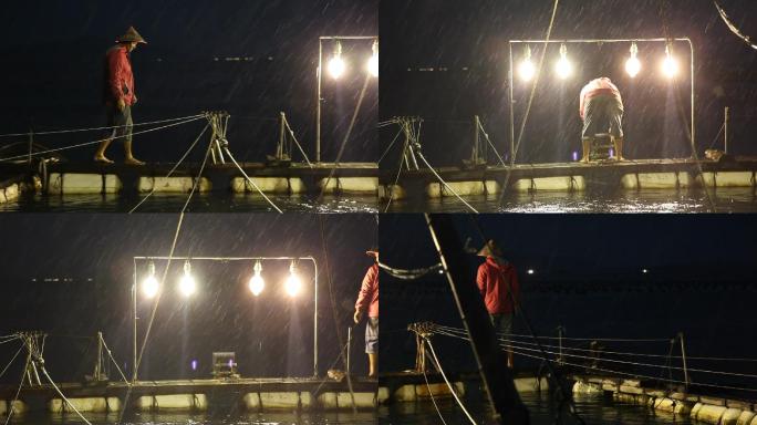 捕捞 夜间捕捞 渔获 渔灯 渔船 渔民