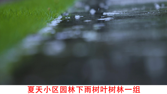 夏季小区园林下雨大雨树林树叶视频素材