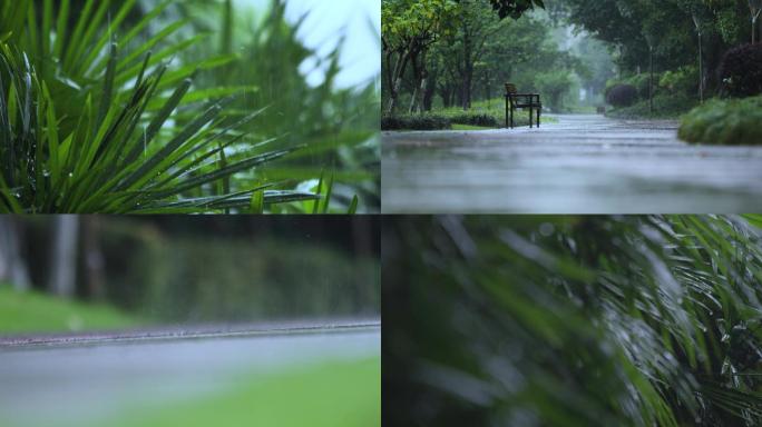 夏季小区园林下雨大雨树林树叶视频素材