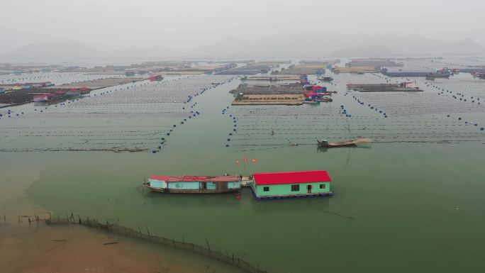 原创 福建宁德霞浦养殖业渔船航拍