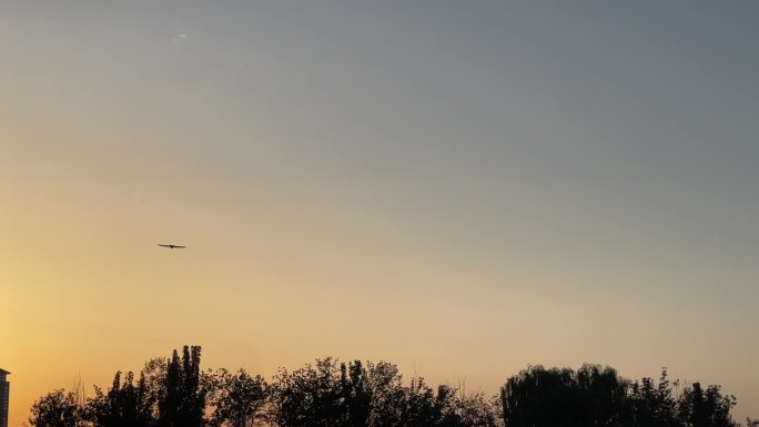 落日余晖天空鹰