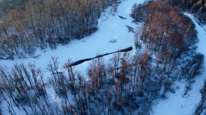 航拍大兴安岭冻土森林疏林湿地雪景