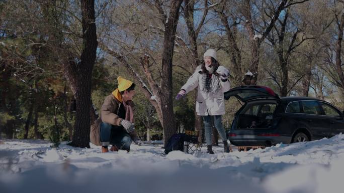 幸福情侣在雪地里玩耍