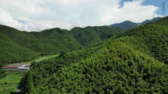 4K高清航拍湖州安吉竹林民宿