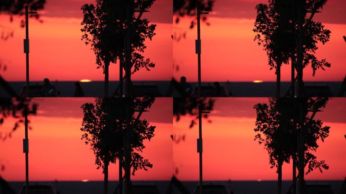 远处的落日红云天空树木剪影